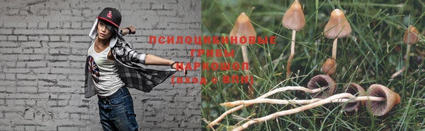 герыч Няндома