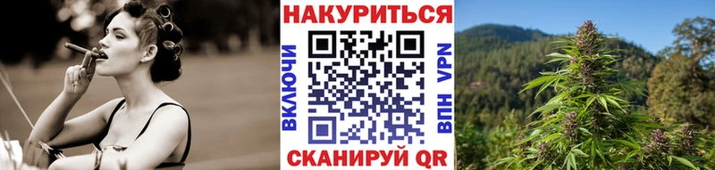 как найти закладки  Староминская  Шишки марихуана семена 